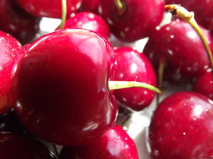 Las cerezas dulces son siempre una tentación en verano, se consiguen de mayo a agosto