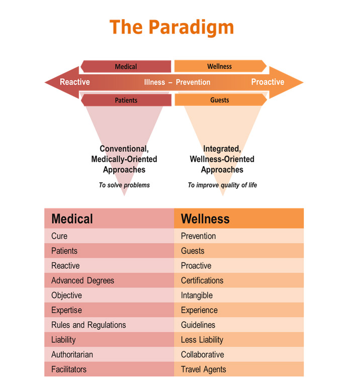 wellness-paradigma-susie-ellies GWI